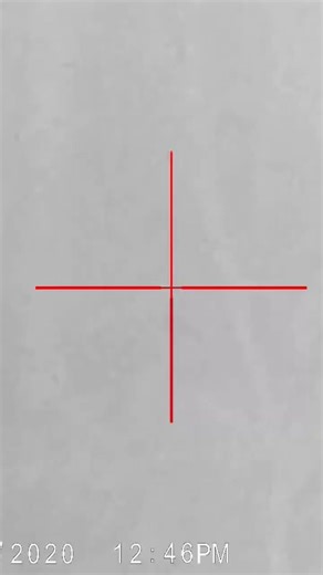 Coyote hunt with 6.5 Grendel sightmark wraith #coyote #deerhunting #foxpro #indiana