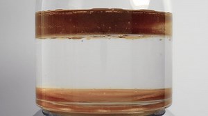 Different density liquids, cooking oil, water and honey, in glass jar being stirred then left to separate, close up