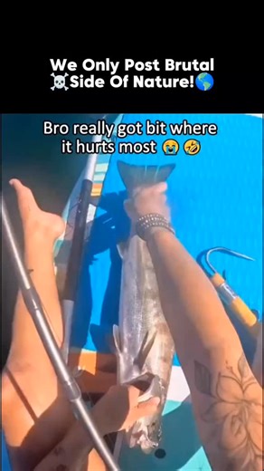 Brutality of Nature — The Wild’s Dark Side on Instagram: "🌊⚠️ A peaceful swim turned terrifying when a sudden flash of scales darted toward her. 🐟💥 The fish struck without warning, turning calm water into chaos. 😨👁️ Even the smallest creatures can remind us that nature is unpredictable—and never to be underestimated. 📍 Follow @brutalityofnatures for more raw, shocking, and untamed moments from the brutal side of nature. #FishAttack #WildWaters #NatureWarning #UnexpectedMoment #OceanScare #