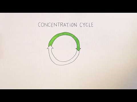 Concentration Cycle