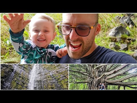 Waimoku Falls Maui ☝️