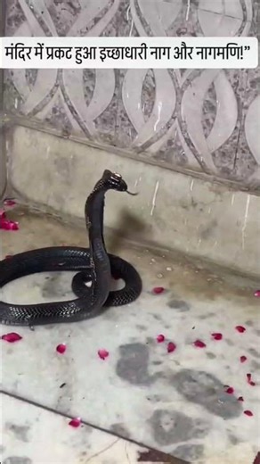 🙏🏻🙏🏻🙏🏻🙏🏻🙏🏻🙏🏻