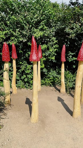 Malahide Castle & Gardens on TikTok