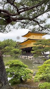 1K reactions · 245 shares | Ultimate 4-Day Kyoto Itinerary  | Wander in Japan | Facebook