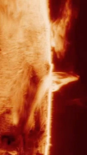 Andrew McCarthy on Instagram: "Here’s my timelapse from day 3 of this sunspot coming back to the earth facing side of the sun! This active region is what produced the auroras we saw, and it’s still quite lively!"