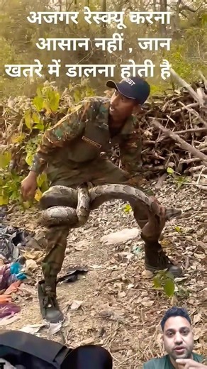 Ajgar Attack 😱 | Forest Guard Real Incident | Dangerous Snake Video #shorts #snake #forest