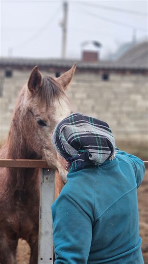 ПРОКАТ СВАДЕБНОЙ НАЦ ОДЕЖДЫ💂👰 on Instagram: "💚🐴💚"