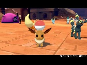 #pokemon Eevee Angry Moment in PokemonCamp