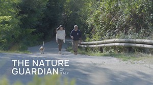 1M views · 5K reactions | The Nature Guardians: In Italy's nature reserves, #Huawei, WWF Italia and Rainforest Connection deploy technology to protect forests. With stinging insects near the top of trees, it can be dangerous at times! Meanwhile, Italian farms are hosting an increasing amount of wildlife. Watch our thrilling, eco-focused docu-short and discover what AI can do. #ThisIsHuawei #TECH4ALL | Huawei | Facebook