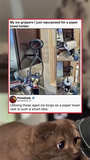 This is actually a genius life hack 🧠 | funny memes | relatable American memes | dank memes