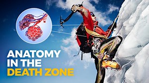 How the human body breaks down at the top of Mount Everest