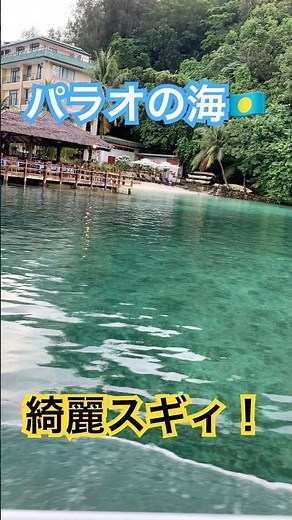 【絶景】パラオの海 #shorts #旅行 #海外旅行