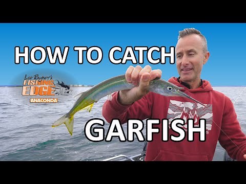 How To Catch Garfish