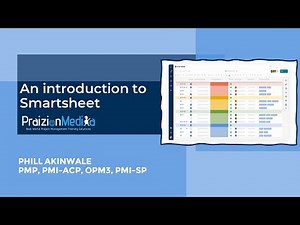 Smartsheet Basics (45 Minutes) - A Layman's Guide #smartsheet