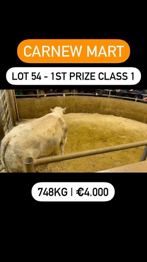 LSL Auctions on Reels | Facebook