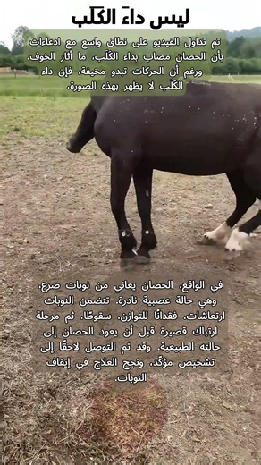 ليس داءَ الكَلَب #عجائب_الطبيعة #اكسبلور