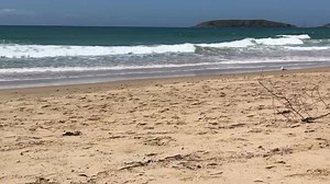 11K views · 235 reactions | Coffs: assessed by Australia's peak scientific body, the CSIRO, as the best climate in Australia .. today was wonderful  | ABC Coffs Coast | Facebook