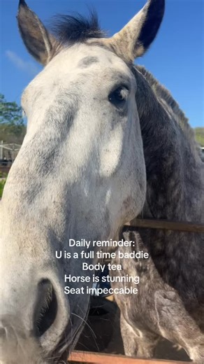 Chantal Wiertz on Instagram: "Daily reminder"