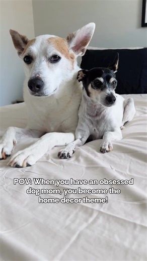 20K views · 1.7K reactions | From portraits to plushies, we’re the stars of the show—Petsies brings the dog mom dream to life! ✨ Whether it’s wall art, a custom stuffie, or that tiny figurine that makes guests go “wait, is that your dog?!”—they nail the details every time  Their Big Summer Sale is on until the next week only! Code JULY20 to fetch 20% off sitewide 朗 | Petsies | Facebook