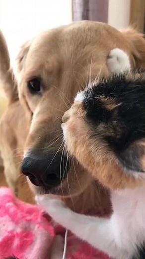 让我说点啥好呢？