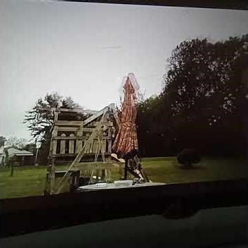 80 mph +winds from hurricane ian