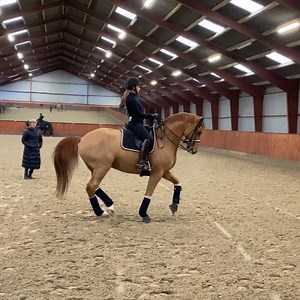 Cassidy dancing the passage&piaff dance 🕺🏻 I just love working with my two super coaches @nathaliesayn & Kyra Kyrklund. It’s so inspiring and there’s nothing I love more, than learning and discovering new things together w my dance partners 🦄 #dufourdressage #cassidy #piaff #passage #grandprix #dothedance | Cathrine Dufour