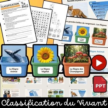 Classification du vivant | Sciences primaire – Vidéo, PowerPoint et Activités