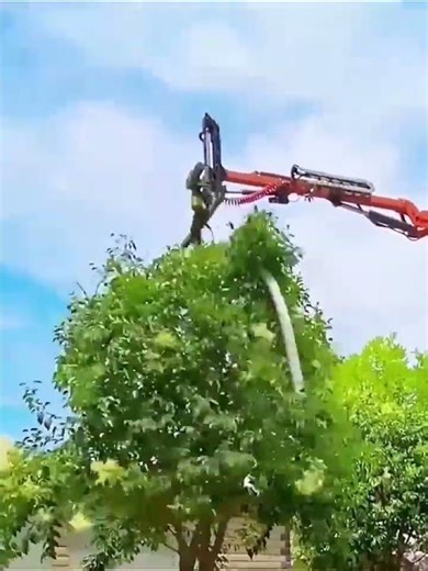 Pruning tools for round tree tops