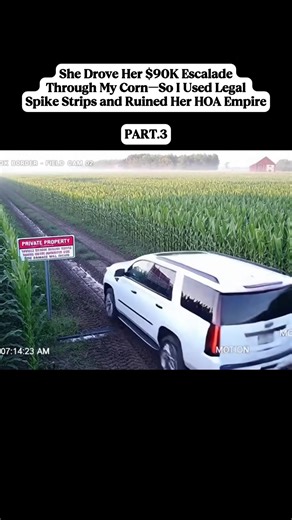 The Power of Storytelling in Critical Thinking