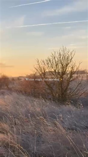 This incredible frosty winter sunrise was captured this morning by the wonderful Fiona, one of our long-standing supporters and guides. Elmley is breathtaking in every season, wild, magical, and almost otherworldly. It’s hard to believe this incredible landscape is only one hour from London. The moment you arrive, it feels like you’ve stepped into a completely different world. If you haven’t experienced Elmley before, we’d love to welcome you. Find out how to visit and discover more via the link