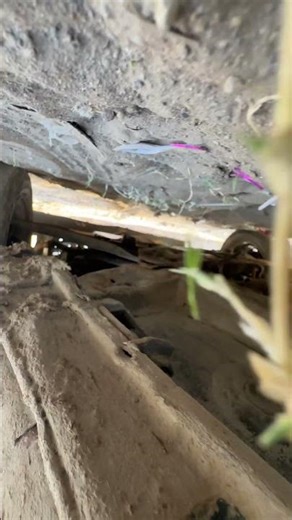 swift 2025 new model 💸 गाड़ी का एग्जास्ट होना।