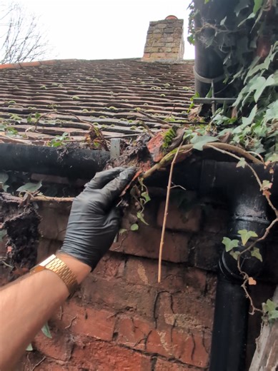 Expert Tips for Cleaning Old Gutters Effectively