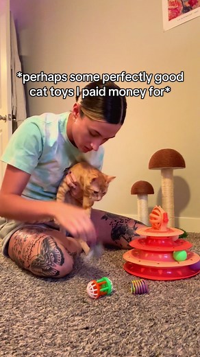 Understanding Cat Personalities and Their Preferences