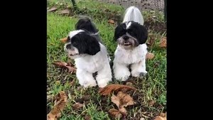 32K views · 4.7K reactions | What could be better than a big, super...