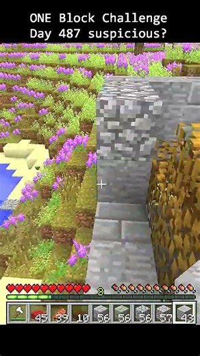 Day 487 Minecraft build challenge - ONE BLOCKS BUILD