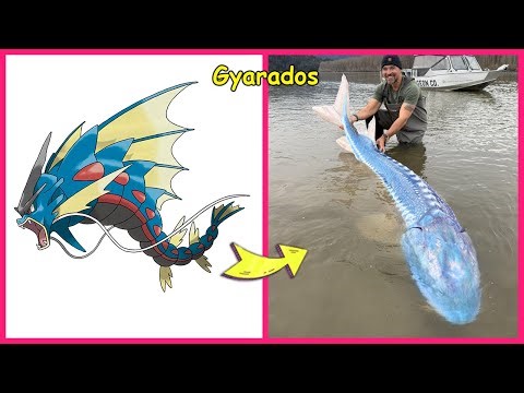 Mega Pokemon Exists in Real Life