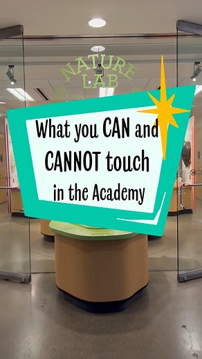 We know you’re disappointed that you can’t touch Methuselah, but you can dry your tears in our new Nature Lab’s cozy library. 🚫🖐🐟 A shot of walking down the hallway toward the entrance of the Nature Lab. Text on screen reads: What you can and cannot touch in the Academy. A series of clips showing things you can and cannot touch in the Academy. Featured items you cannot touch include: A penguin grooming itself, Methuselah, our priceless Galapagos tortoise specimen, Claude, and Audubon’s Birds 