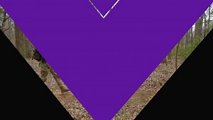 Experiential Learning at SFA - The College Tour