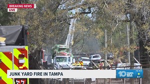 Parents can now see their child's FCAT scores online