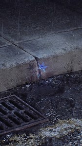 The Name Chapter: FREEFALL - Concept Teaser (https://youtube.com/shorts/3chH71xBEwQ) #투모로우바이투게더 #TOMORROW_X_TOGETHER #TXT #TheNameChapter #FREEFALL | BIGHIT MUSIC