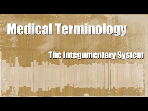Medical Terminology of the Integumentary System