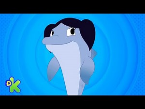 Luna descobre as maravilhas do mar | O Show Da Luna | Discovery Kids Brasil