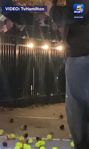 'TURKEYS AWAY': Hamilton Turkey Drop pays tribute to iconic 'WKRP' episode when turkeys fell from the sky. 🦃https://www.wlwt.com/article/hamilton-turkey-drop-wkrp-episode-turkeys-flying-sky/63036783 | WLWT