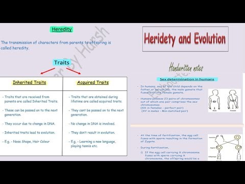 Heredity and Evolution in 1 Video | Handwritten Notes | Class 10 Science @Eduboosterbyharsh