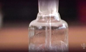 How To Understand Respiration In Plants