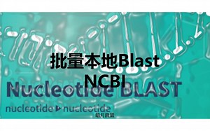 3-批量更改文件名字