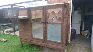 Pigeon loft build