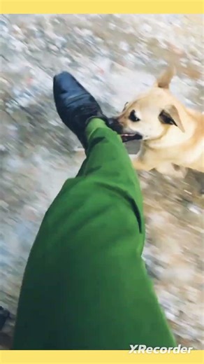 Vietnam people's public security 1249