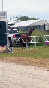 187K views · 77K reactions | (SOUND UP) puttin in work behind the scenes baby Audio: “No Hook” by OJ Da Juiceman (@ojdajuiceman32) Video: @ecuries_horizon_orford | Eggs Tyrone | Facebook