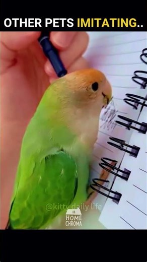 Other Pets Imitating vs.. ☠️ #shorts